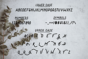 Dirt & Vines - A Gritty San-Serif, a Sans Serif Font by The Forge Type Co (Thumbnail 4 of 7)