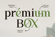Overse - Modern Serif Typeface, a Serif Font by Font Liner (Thumbnail 6 of 12)