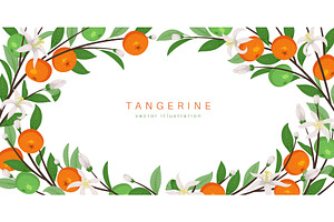 Mandarin fruit frame. Orange juicy, a Food Illustration by YummyBuum