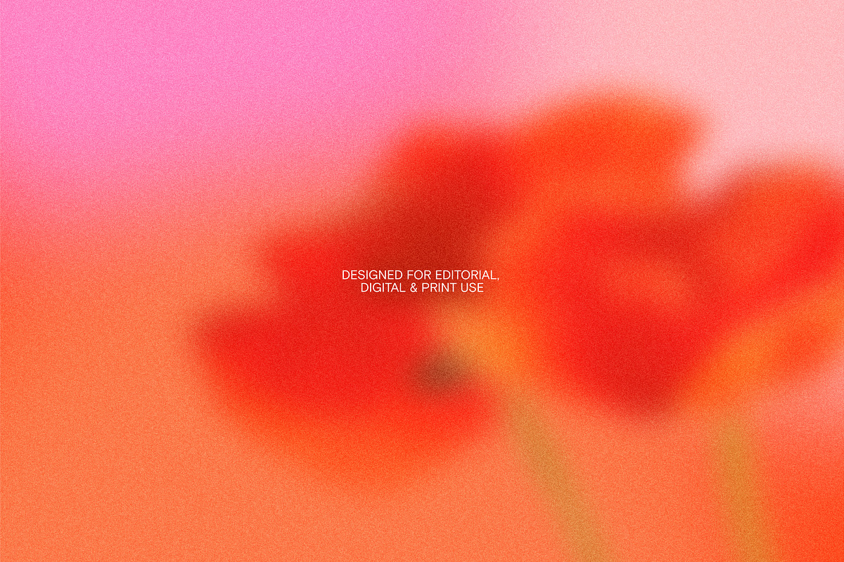 Bold Bloom – Floral Backgrounds, a Background Graphic by StudioMorf (Photo 4 of 14)
