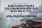 Neotheric - Strong Sans Serif, a Sans Serif Font by Say Studio (Thumbnail 12 of 14)
