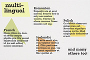 Tatline — Bold & Chunky Serif Font, a Serif Font by Eugene Tantsurin (Thumbnail 5 of 11)