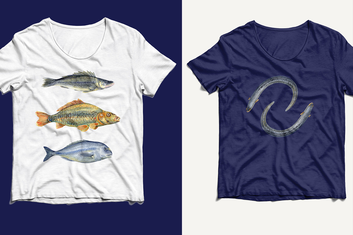 Watercolor FISHES, a Pattern Graphic by JennyColorArt (Photo 2 of 7)