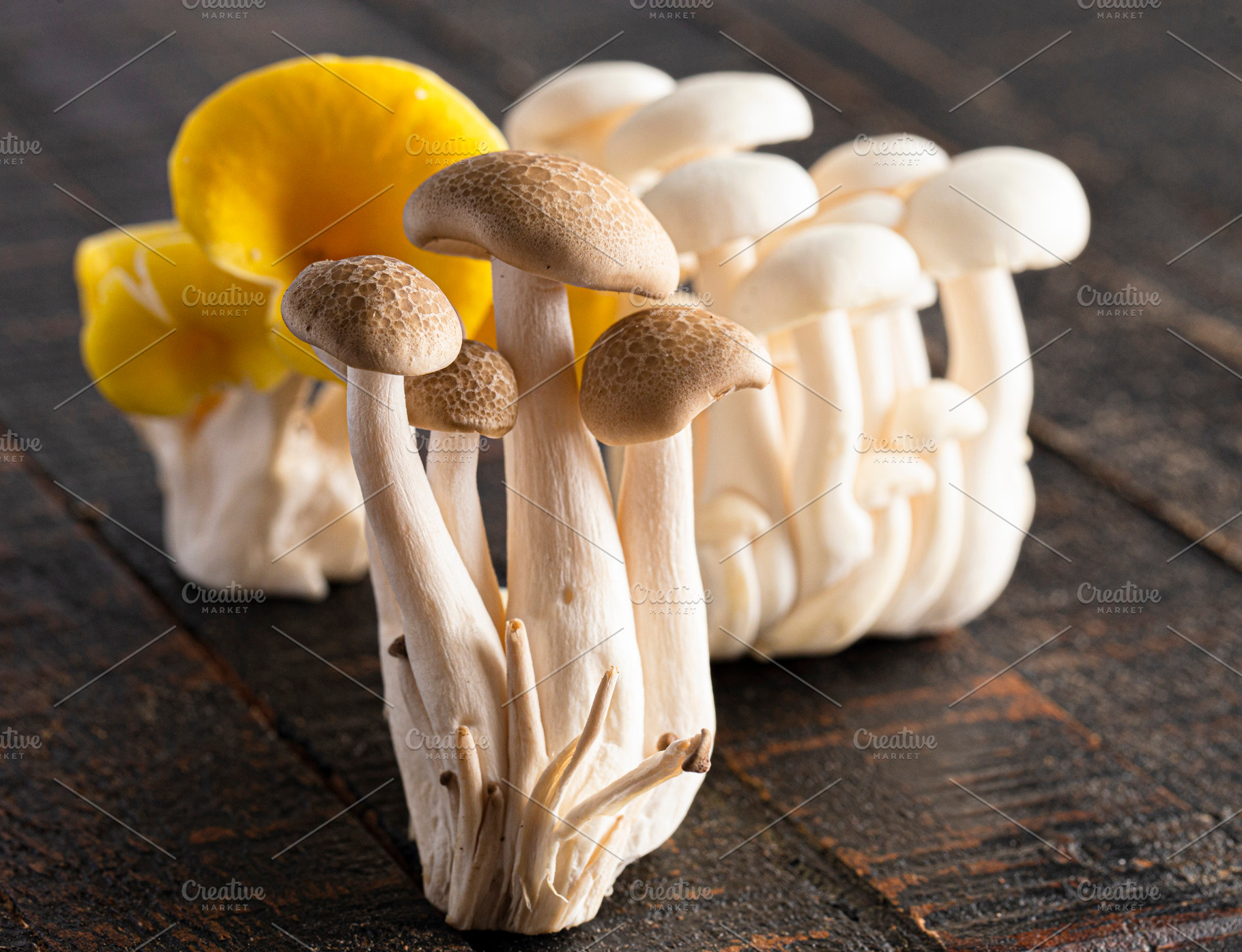 A Variet of Fresh Mushrooms on a Wooden Table, a Food & Drink Photo by P Maxwell Photography
