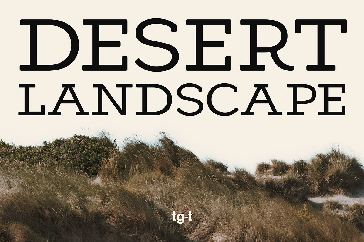 Cendrich - Slab Serif Font, a Slab Serif Font by Tiga Type (Photo 2 of 10)