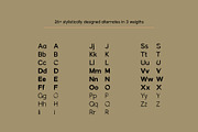 Karl – Cool Sans w Unique Alternates, a Sans Serif Font by Local Desk Designstudio (Thumbnail 25 of 28)