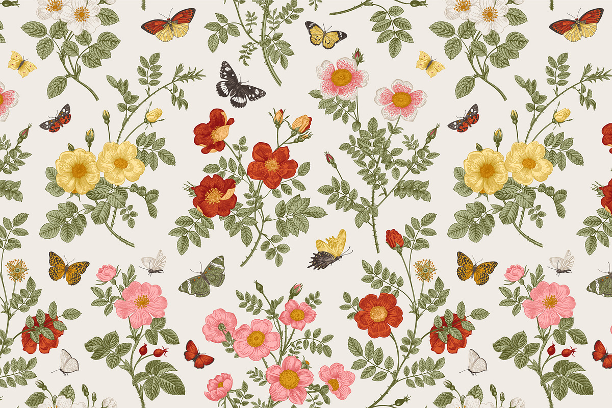 Wild Roses, a Decorative Illustration by olga.korneeva (Photo 13 of 24)