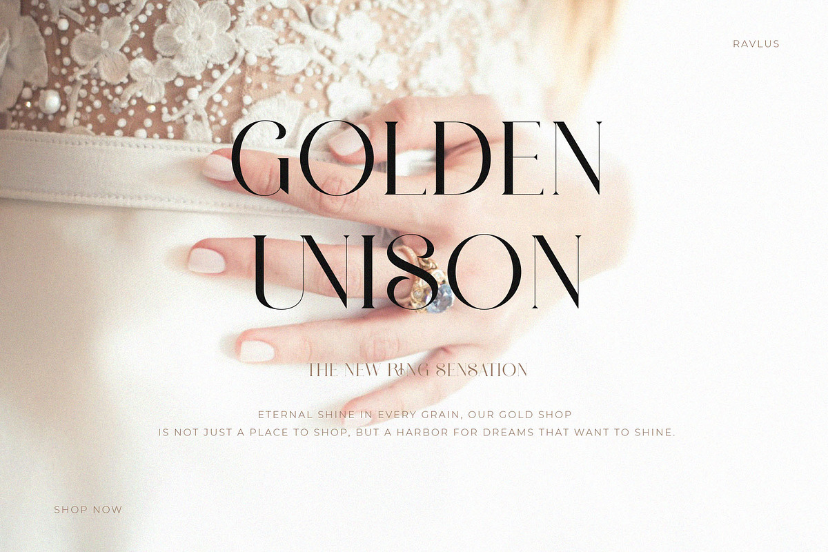 Ravlys - Classy serif, a Serif Font by ToniStudio (Photo 4 of 11)