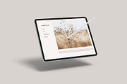 iPad Pro Mockup, an iPad Mockup by graphicpages (Thumbnail 10 of 17)