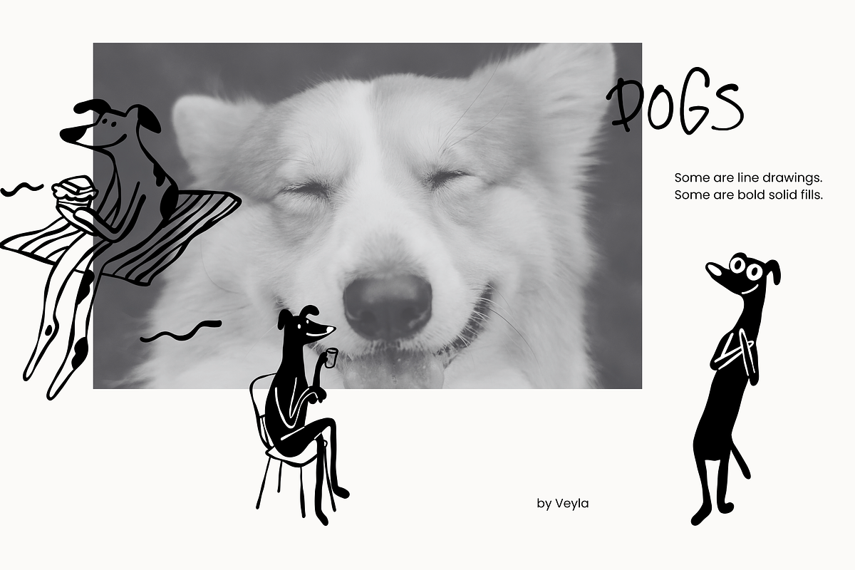 Animal Series BUNDLE: All 6 in 1, an Animal Illustration by Veyla (Photo 28 of 37)