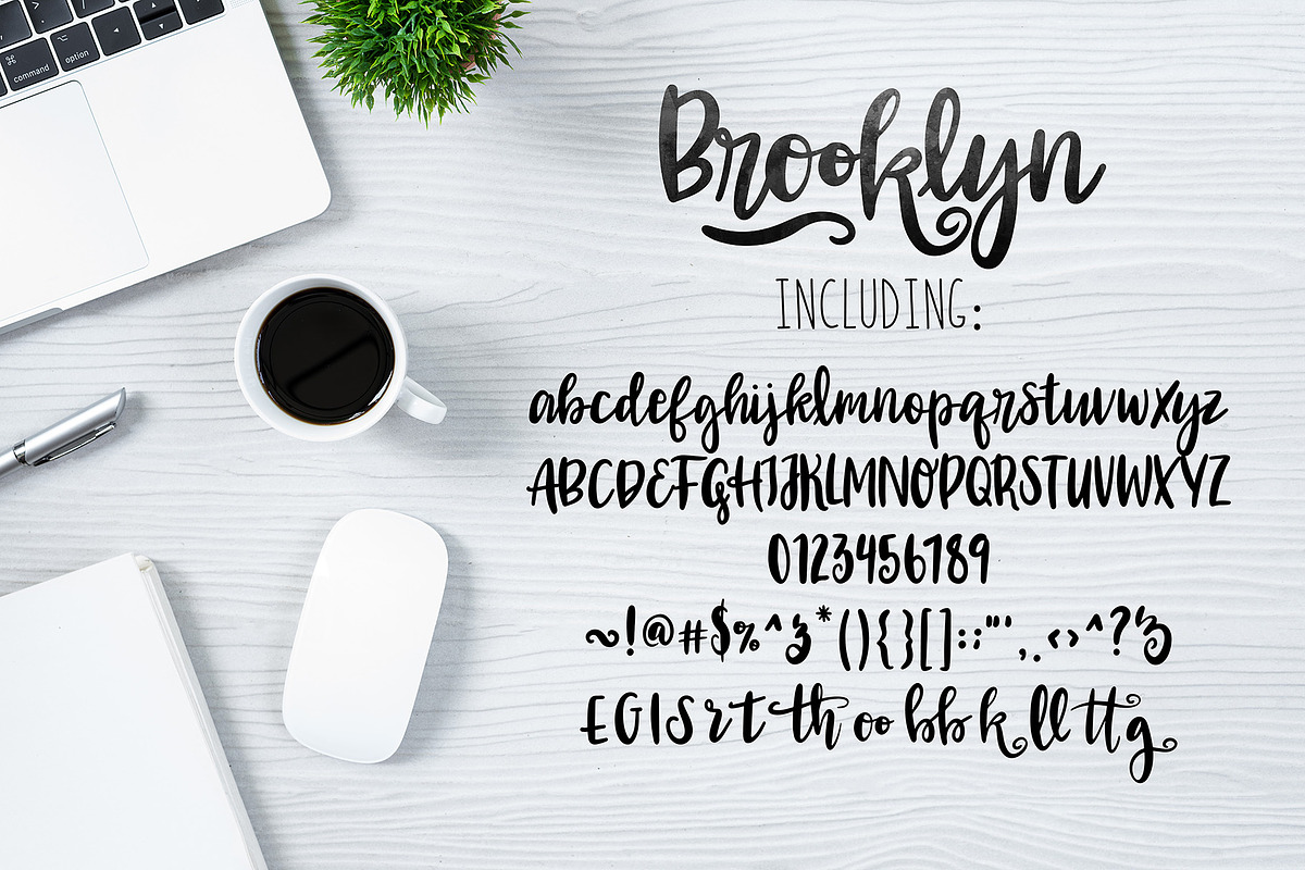 BROOKLYN Bold Script Font preview 3