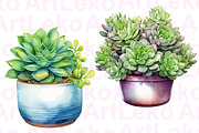 Succulents Watercolour Clipart, a Decorative Illustration by LekoArt (Thumbnail 3 of 10)