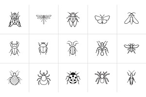 Insects Sketch Icon Set.