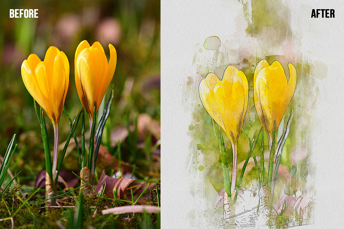 Watercolor Paint Photoshop Template, an Action Add-On by Shovajit (Photo 5 of 5)