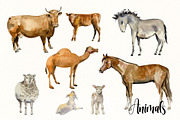 Holy Nativity - Watercolor Set, a Seasonal Illustration by Tati Bordiu (Thumbnail 6 of 7)