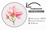 Watercolor Pink Magnolia clipart, an Illustration by Libby Wishes (Thumbnail 3 of 7)