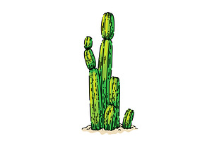 Cactus Desert Sketch Hand Drawn