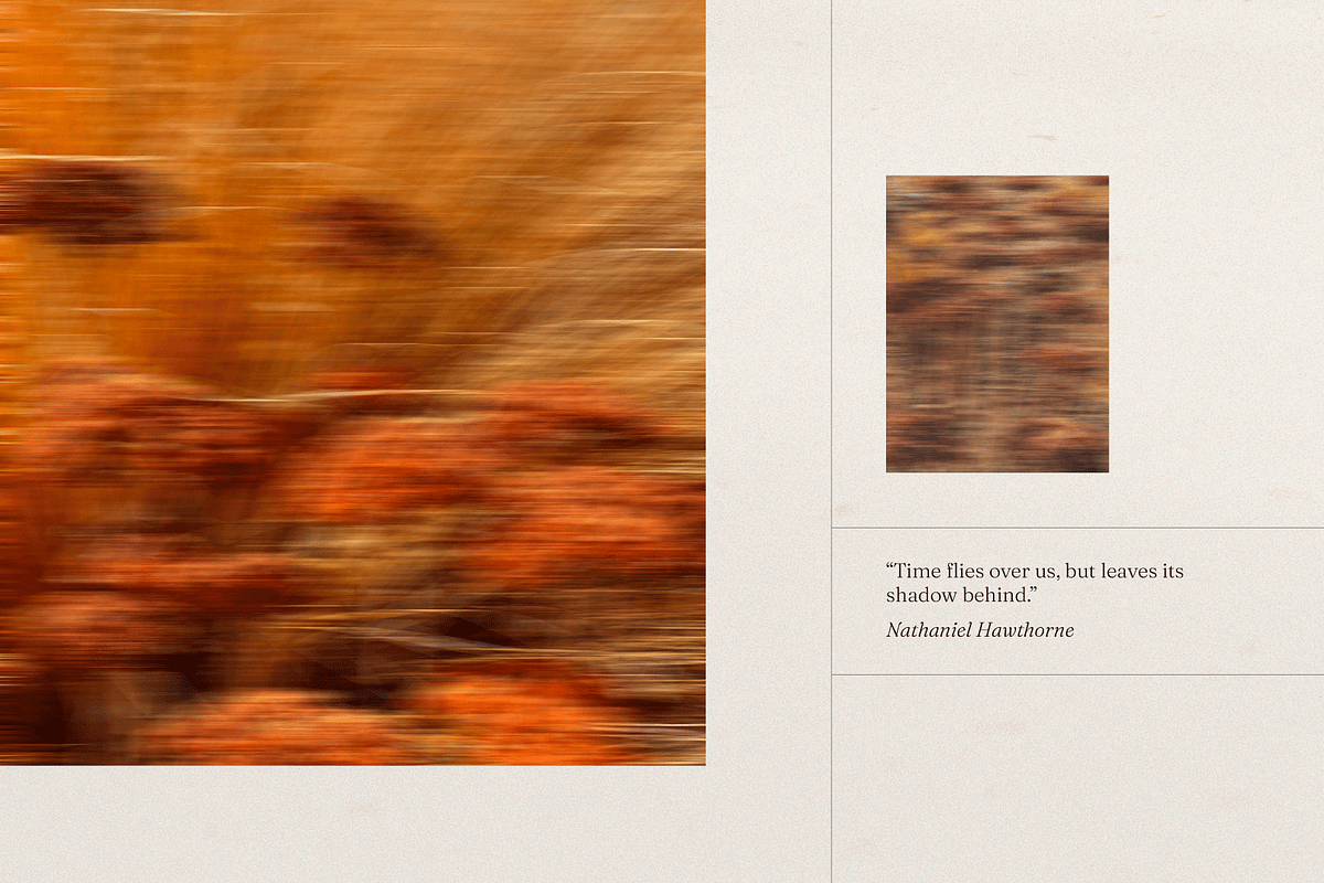 Harvest Rituals | Autumn Images, a Background Photo by bron.alexander (Photo 4 of 12)