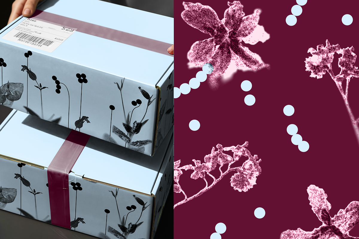 HERBARIA. Pressed Wildflower Scans, an Object Graphic by Schumacher Shop (Photo 15 of 21)