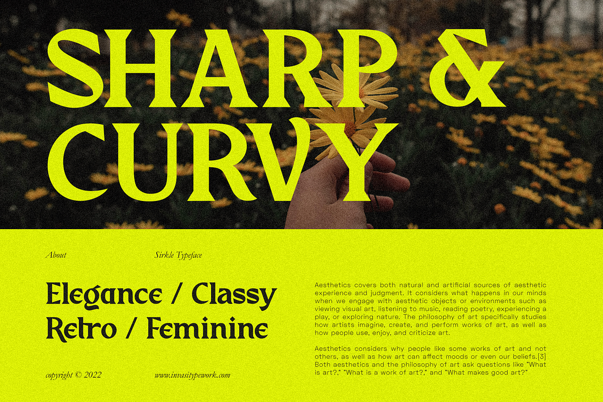 Sirkle - Semi Serif Display, a Serif Font by Invasi Studio (Photo 2 of 11)