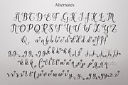 Gloryta, a Script Font by Digital Typeface Studio (Thumbnail 3 of 7)