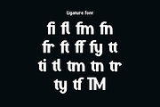Mono Qaftots Modern Bold Brand Font, a Sans Serif Font by QR Design Studio (Thumbnail 11 of 16)