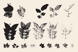 Stamped Prints Of Leaves & Flowers