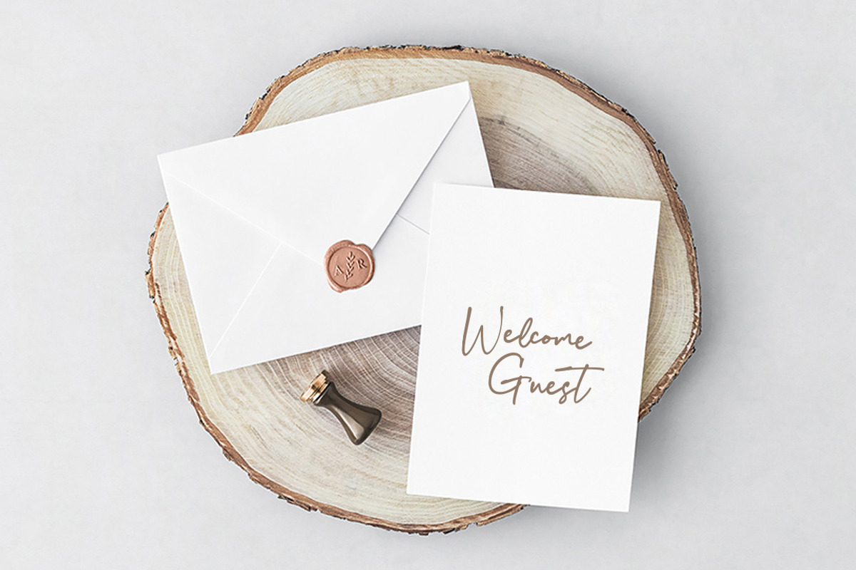 Drekmit Chic Script, a Script Font by Vultype Co. (Photo 9 of 11)
