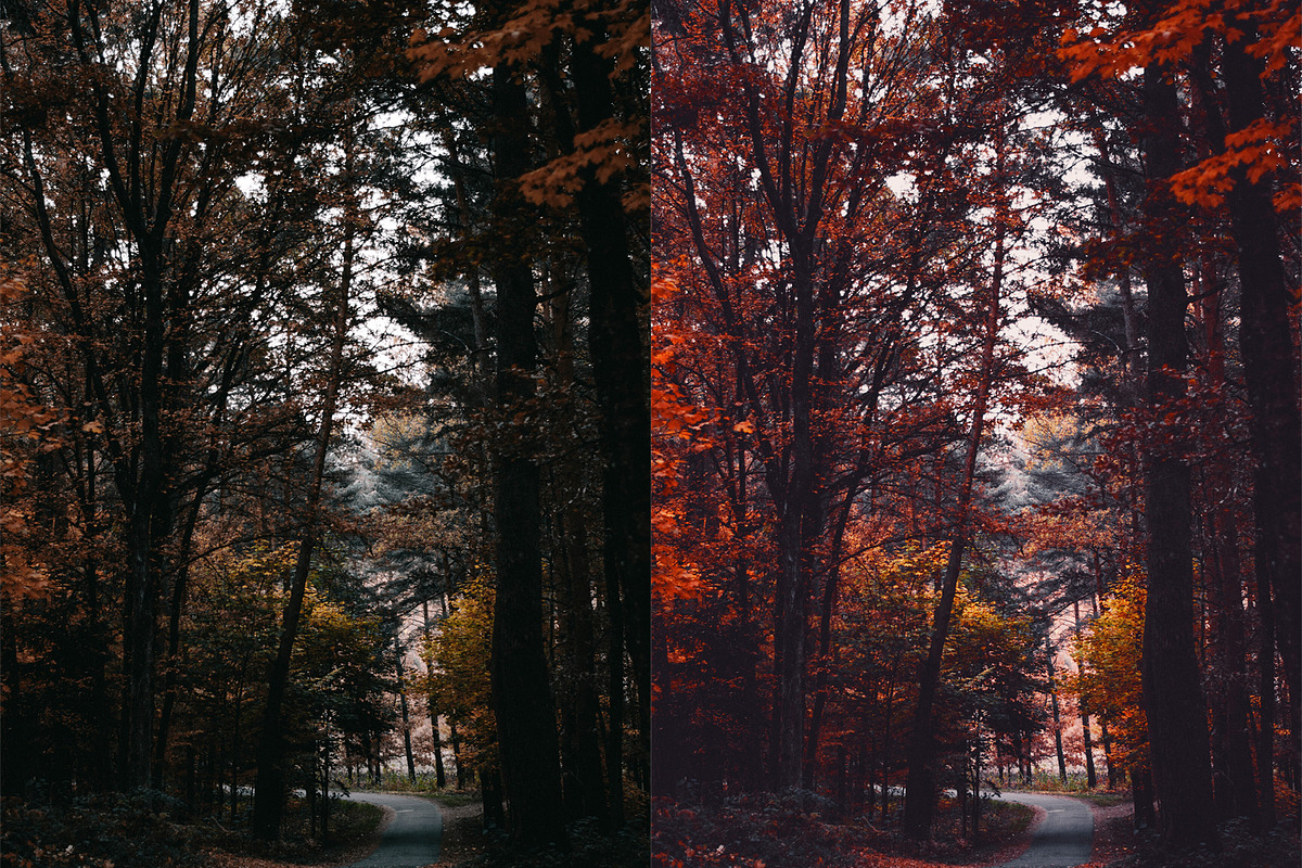 Fall - Autmun Photoshop Actions, an Action Add-On by Bato (Photo 5 of 10)
