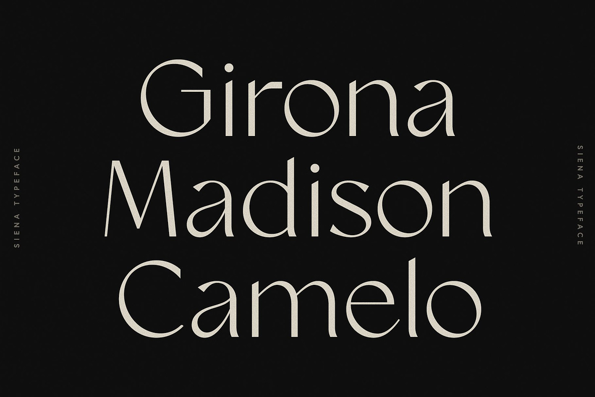 The Modern Typography Bundle, a Serif Font by Ivan Rosenberg (Photo 8 of 58)