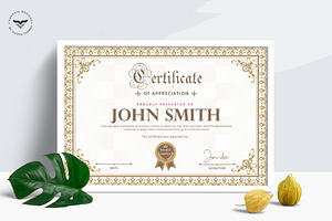 Professional Certificate Template