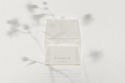Blur Botanical Vellum Backgrounds, a Background Graphic by alonahaidash (Thumbnail 11 of 14)