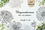 Chrysanthemum line art collection, a Decorative Illustration by DamriNa art (Thumbnail 1 of 9)