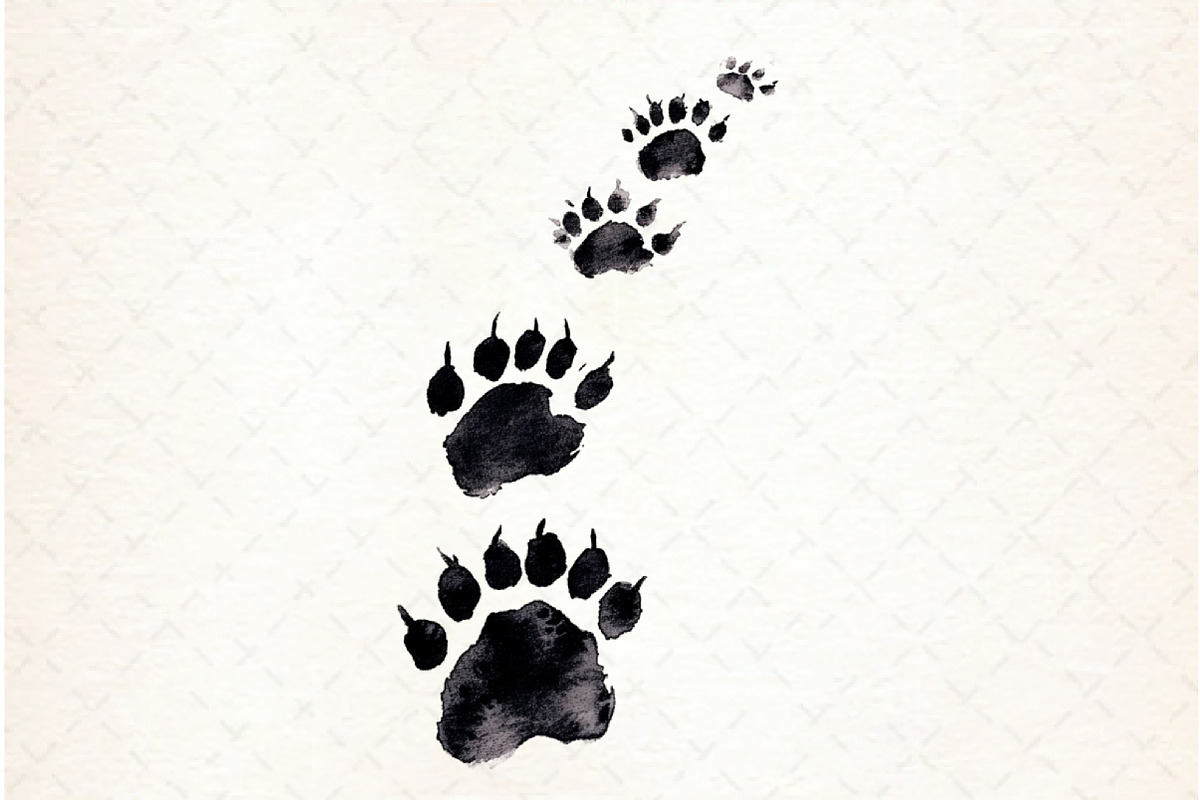 Halloween Black&White Digital Clipar, an Illustration by Libby Wishes (Photo 6 of 6)