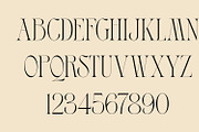 Roxton - Elegant Ligature Serif Font, a Serif Font by Surplus Type Co (Thumbnail 2 of 6)