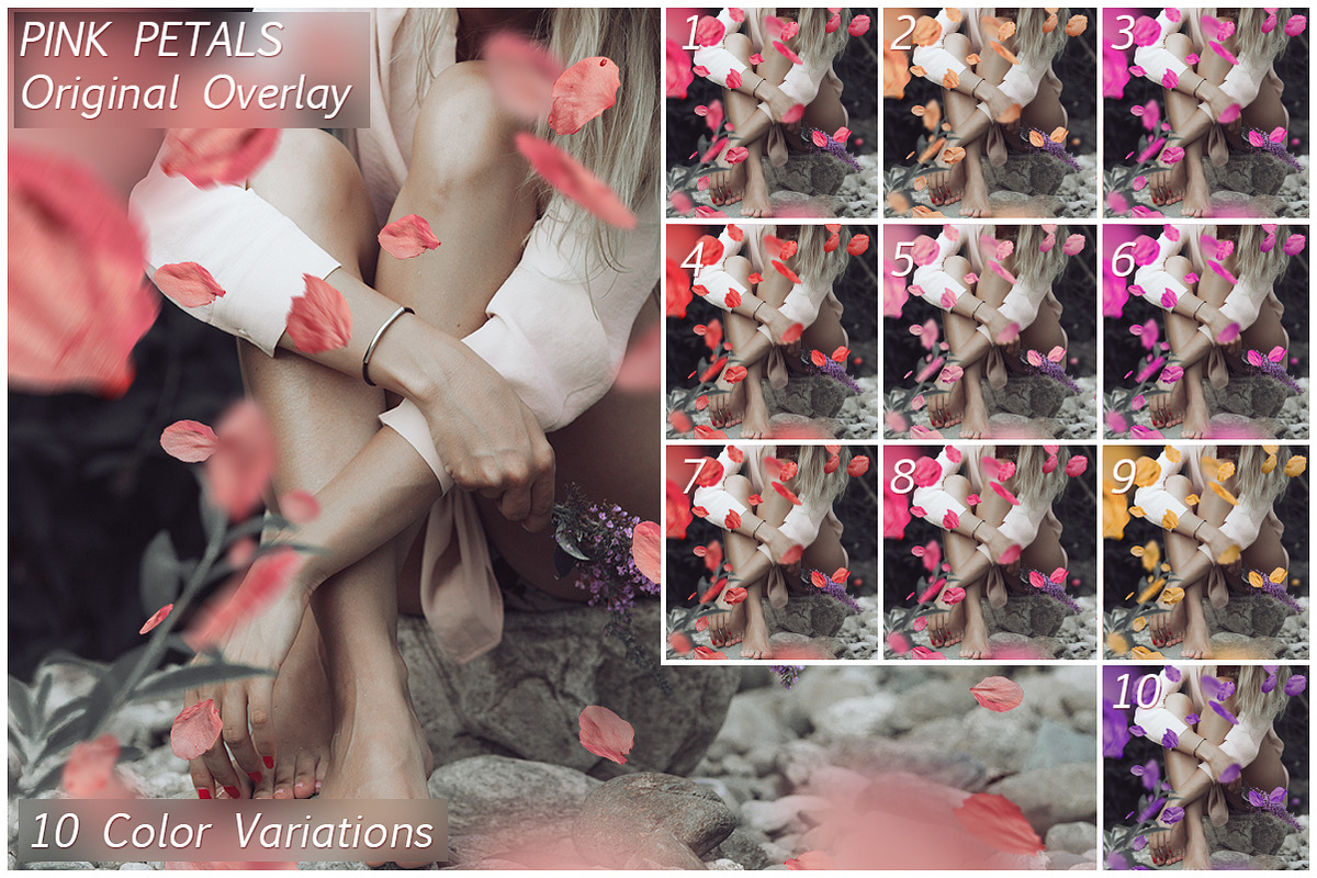 5K Petals Overlays, an Object Graphic by ArtPlanet (Photo 7 of 12)