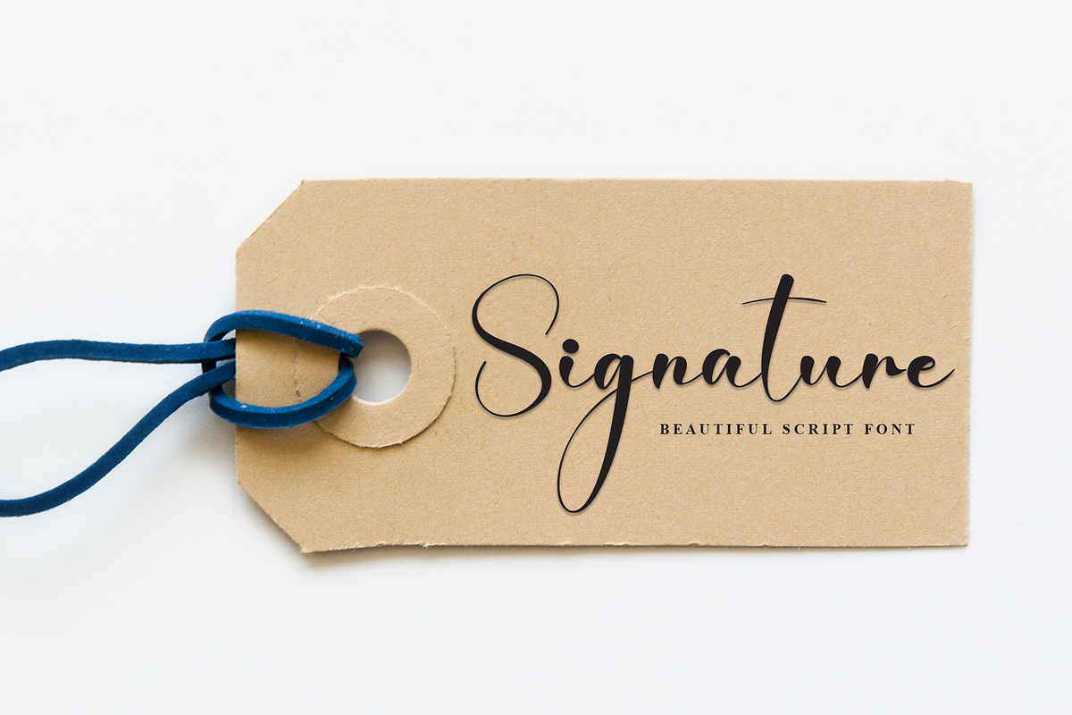 Angelina Decoration | Script Font, a Handwritten Font by Scratchones (Photo 4 of 8)