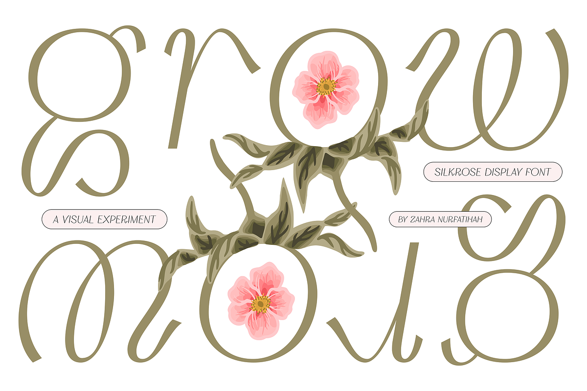 Silkrose - Delicate Display Font, a Sans Serif Font by Artflorara (Photo 3 of 14)