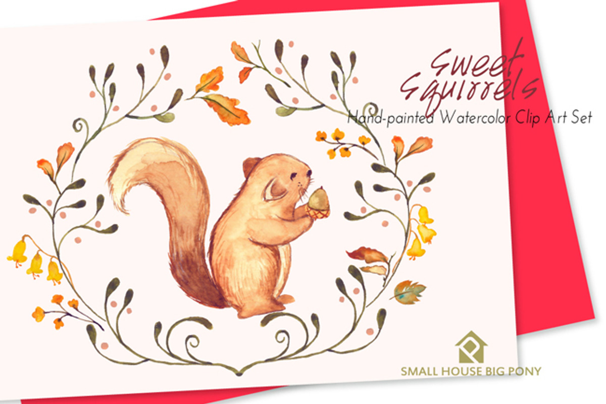 Sweet Squirrels -Huge Watercolor Set, an Animal Illustration by SmallHouseBigPony (Photo 5 of 14)