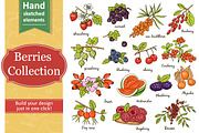 Collection of berries with pattern, an Object Graphic by Tatti Graphic Studio (Thumbnail 1 of 3)