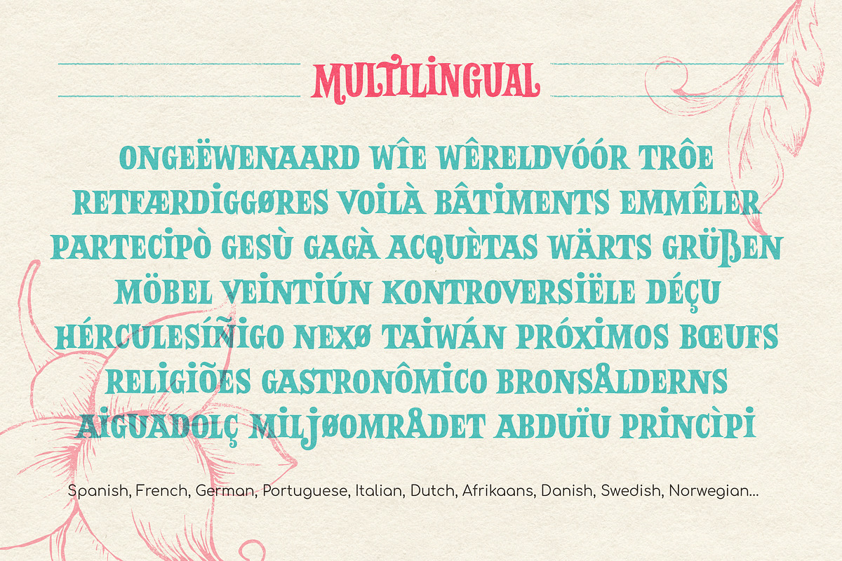 Balter Serif font family, a Font by Art Grootfontein (Photo 12 of 15)