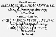 Raw Soul Expressive Messy Script, a Script Font by AnMark (Thumbnail 4 of 15)