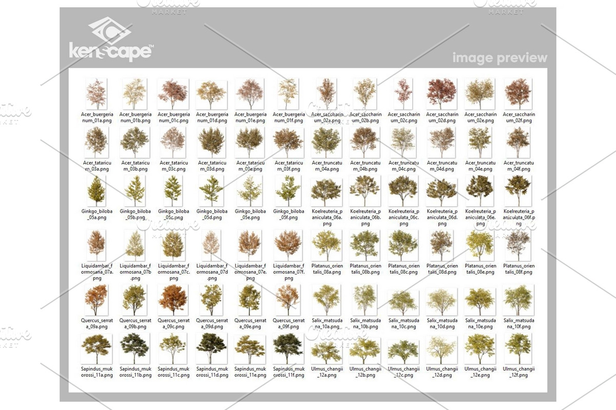 72 Autumn Trees Photo Overlays, a Nature Photo by KenScape (Photo 3 of 3)