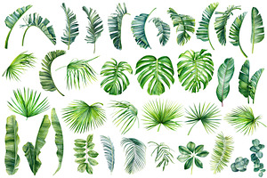 Watercolor Bundle Tropical Leaves