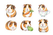 Watercolor Guinea Pigs Clipart, an Animal Illustration by BerryPieArt (Thumbnail 3 of 4)