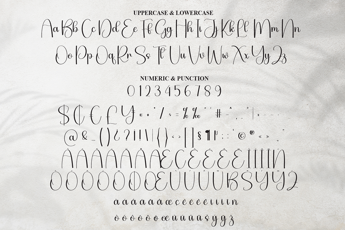 Justify | Script Font, a Handwritten Font by Scratchones (Photo 7 of 9)