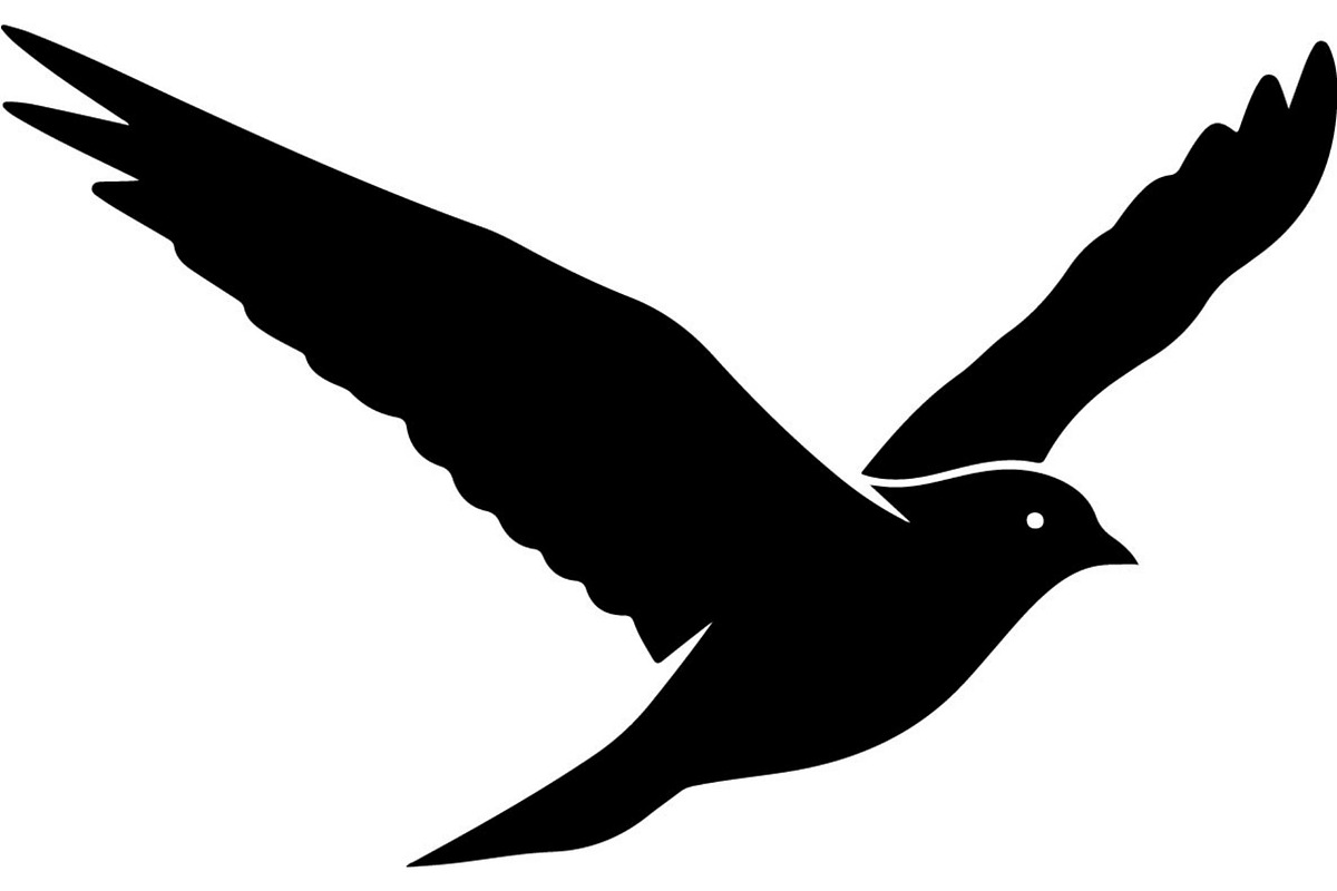 Forest Sky Birds Illustration Vector, an Animal Illustration by Designer_Momina (Photo 18 of 21)