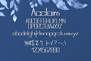 Acclaim Summer Font, a Script Font by DmDesignsStoreArt (Thumbnail 2 of 2)