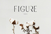 Feathers - Ligature Sans Serif, a Sans Serif Font by Sans & Sons (Thumbnail 9 of 10)