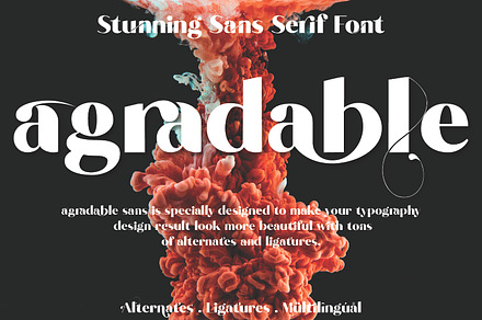 Agradable Sans | Stunning Sans Serif